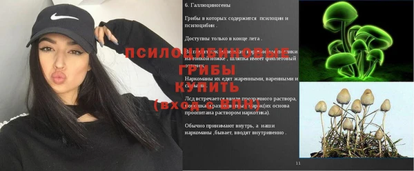 гидропоника Нягань