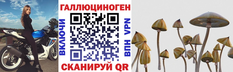 Купить где  Энгельс  Псилоцибиновые грибы мицелий 