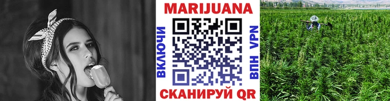 Конопля индика  Купить где  Энгельс 